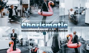 Charismatic Photoshop Action 96MBS45