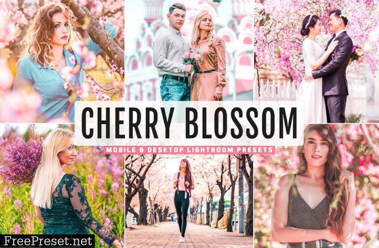 Cherry Blossom Mobile & Desktop Lightroom Presets
