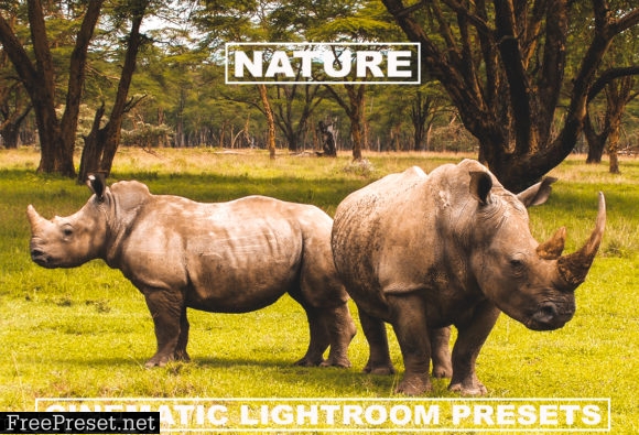 Cinematic Lightroom Presets Nature Tone 6099942