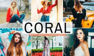 Coral Mobile & Desktop Lightroom Presets