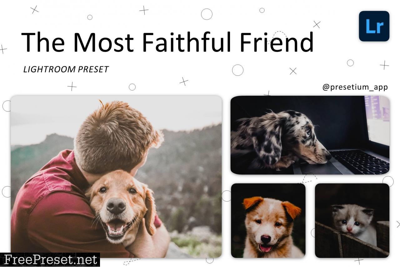 Faithful Friend - Lightroom Presets 5227534