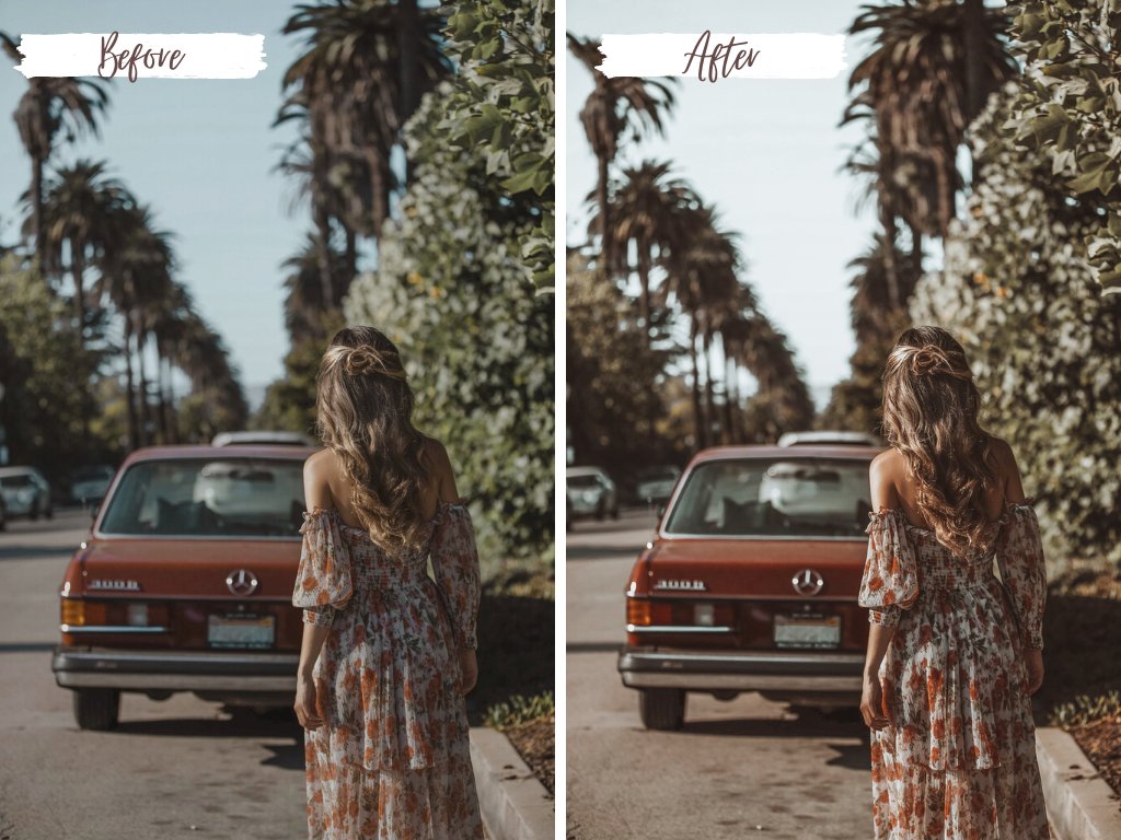 Falling Leaves Mobile & Desktop Lightroom Presets 5461468