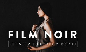 FILM NOIR Pro Lightroom Preset 5237631
