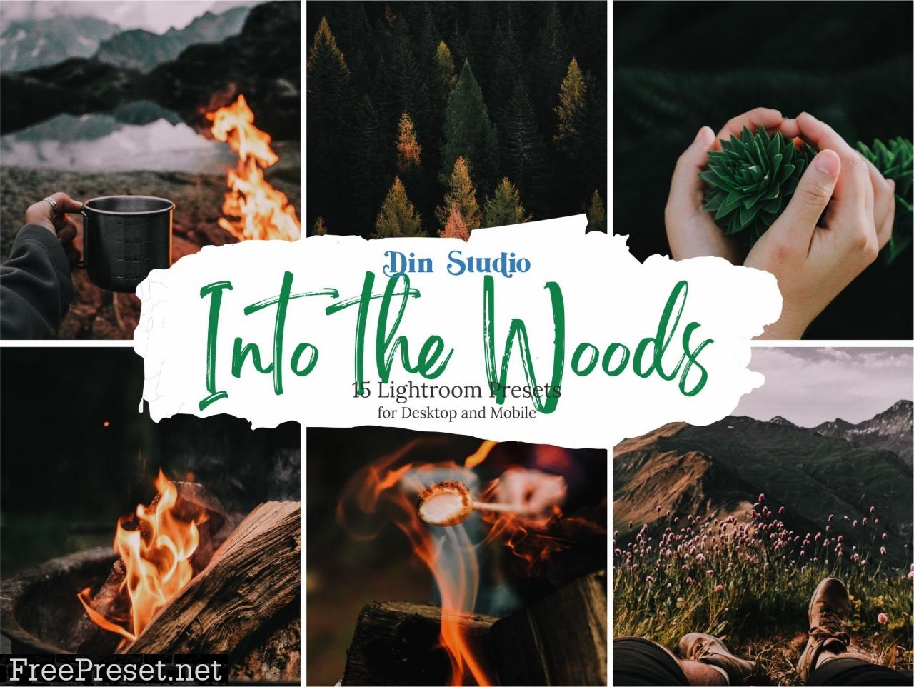 Into The Woods Lightroom Presets 5481883