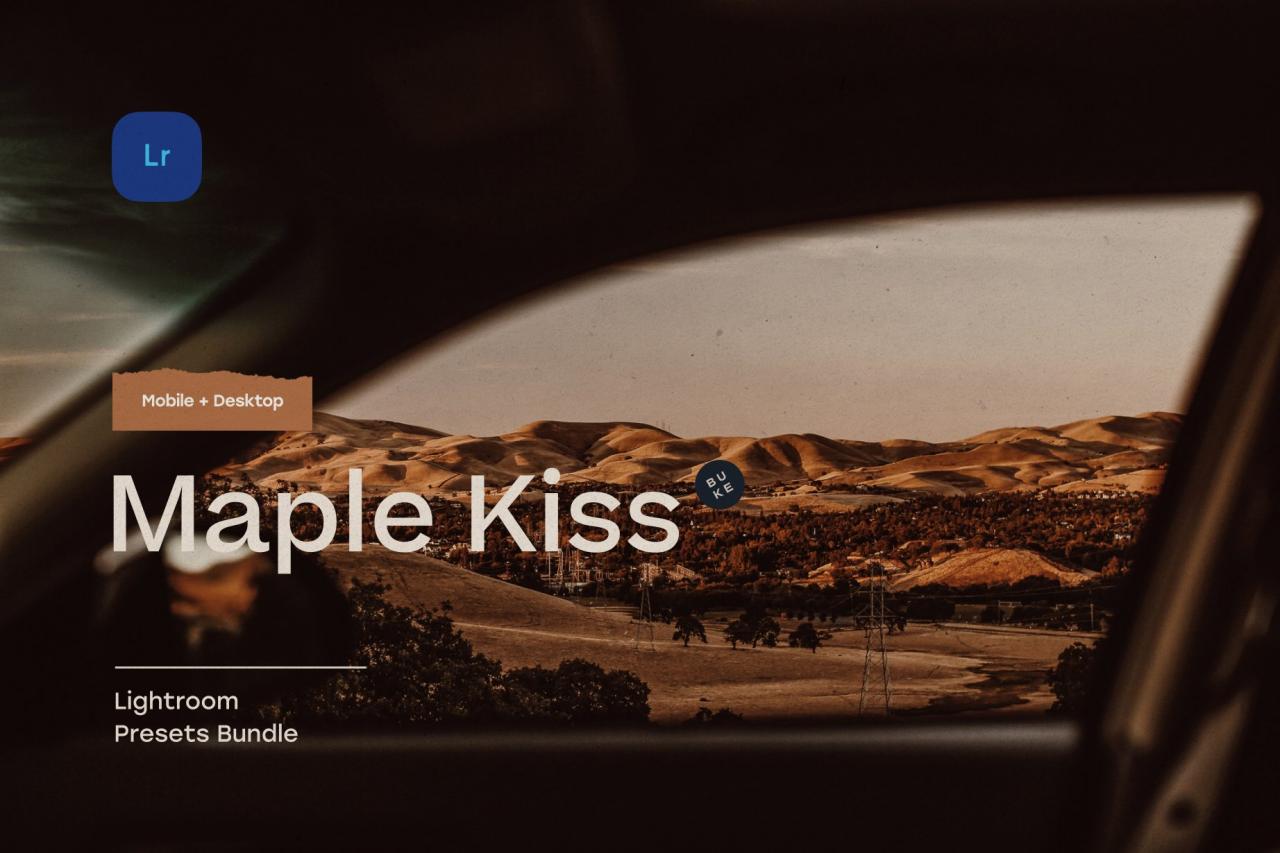 Maple Kiss – 5 Lightroom Presets 5483907