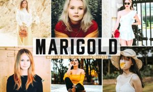 Marigold Mobile & Desktop Lightroom Presets