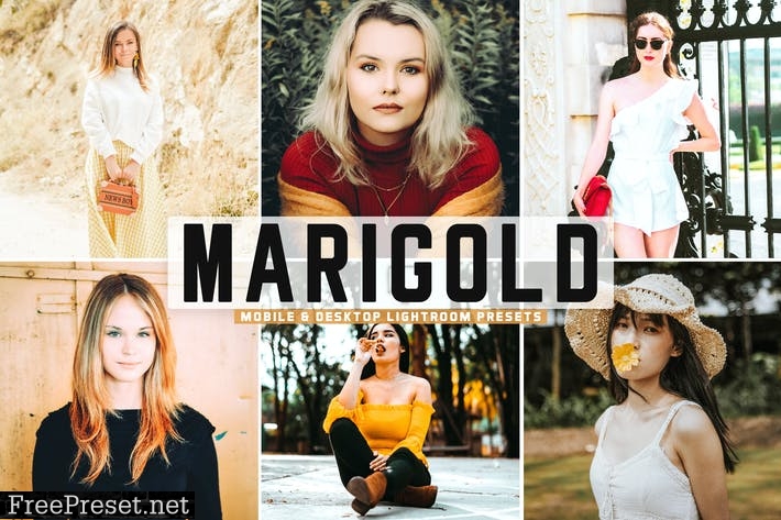 Marigold Mobile & Desktop Lightroom Presets