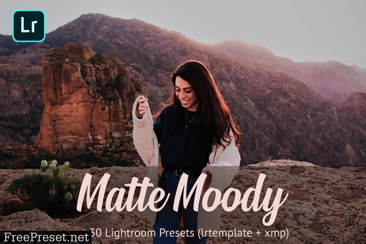 Matte Moody Presets Lightroom 4811215