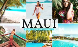 Maui Mobile & Desktop Lightroom Presets