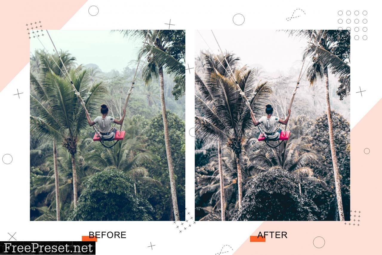 Pacific Palms - Lightroom Presets 5239967