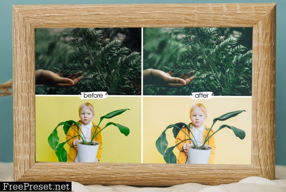 Plant-o-graphy Lightroom Presets 5944442