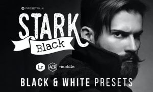 Stark Black - Dramatic Black & White Presets