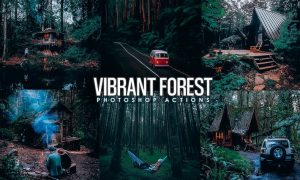 Vibrant Forest Effects Photoshop Actions 75Y3JF3
