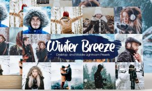 Winter Breeze Lightroom Presets 5282928