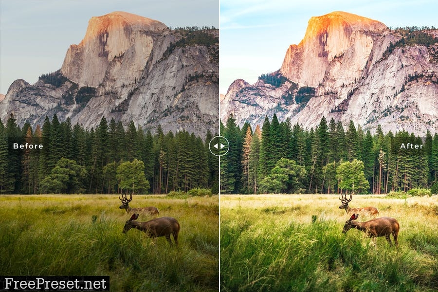 Yosemite Mobile & Desktop Lightroom Presets