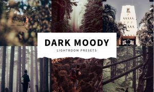 10 Dark Moody Lightroom Presets 5516123