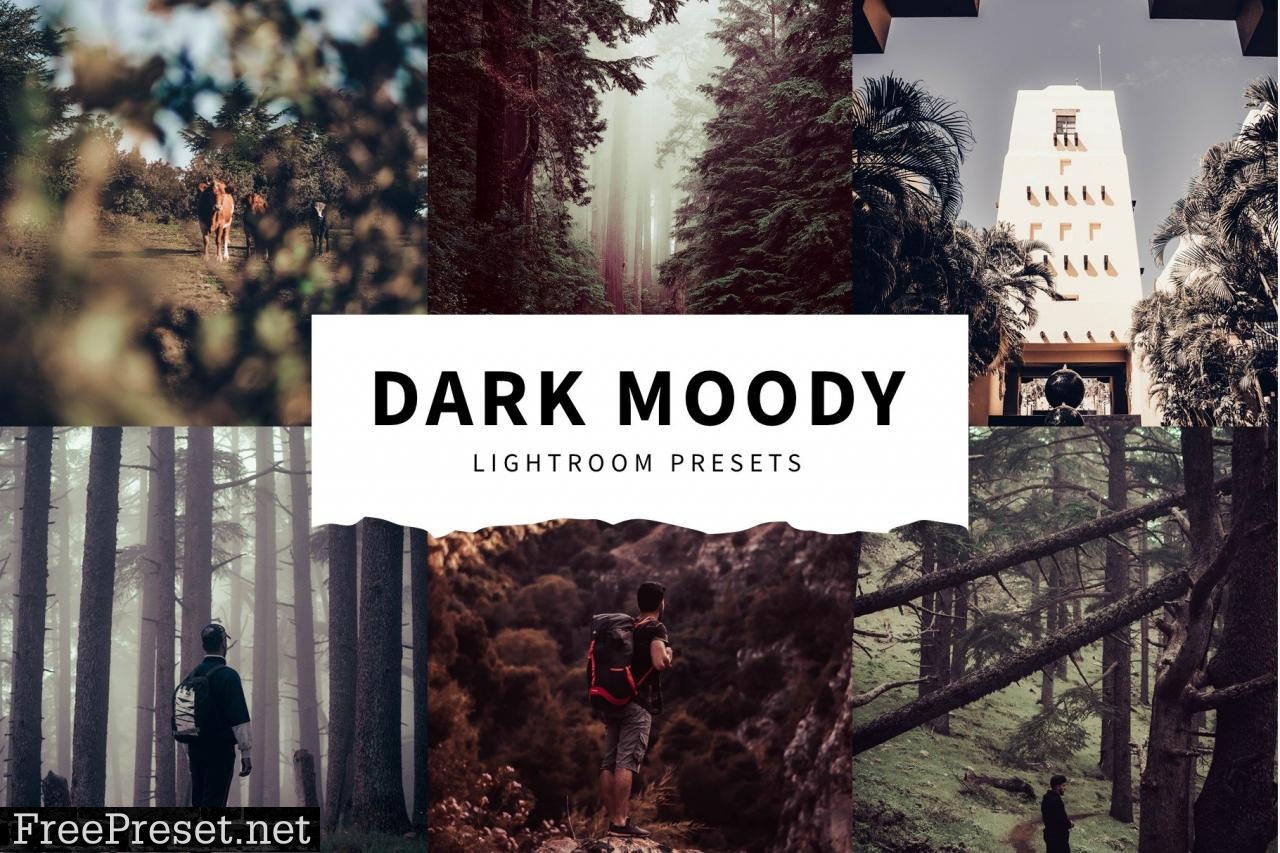 10 Dark Moody Lightroom Presets 5516123