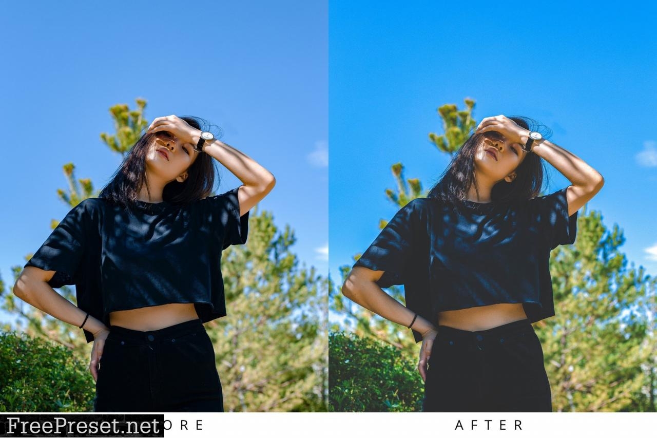 10 Fashion Model Lightroom Presets 5351308