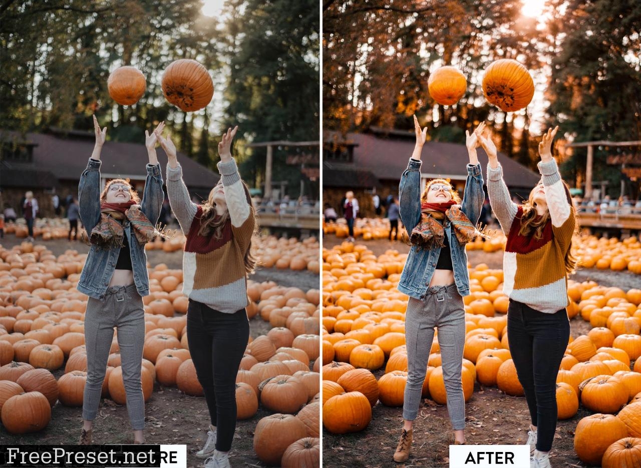 10 PUMPKIN PIE Lightroom Preset 5568485