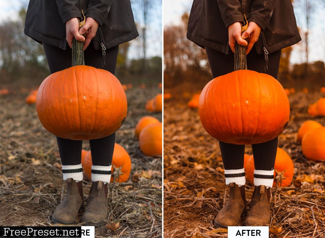 10 PUMPKIN PIE Lightroom Preset 5568485