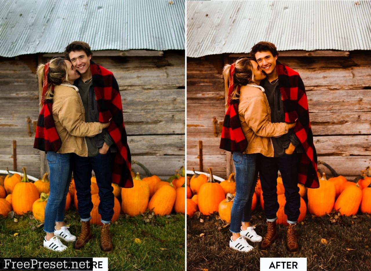 10 PUMPKIN PIE Lightroom Preset 5568485