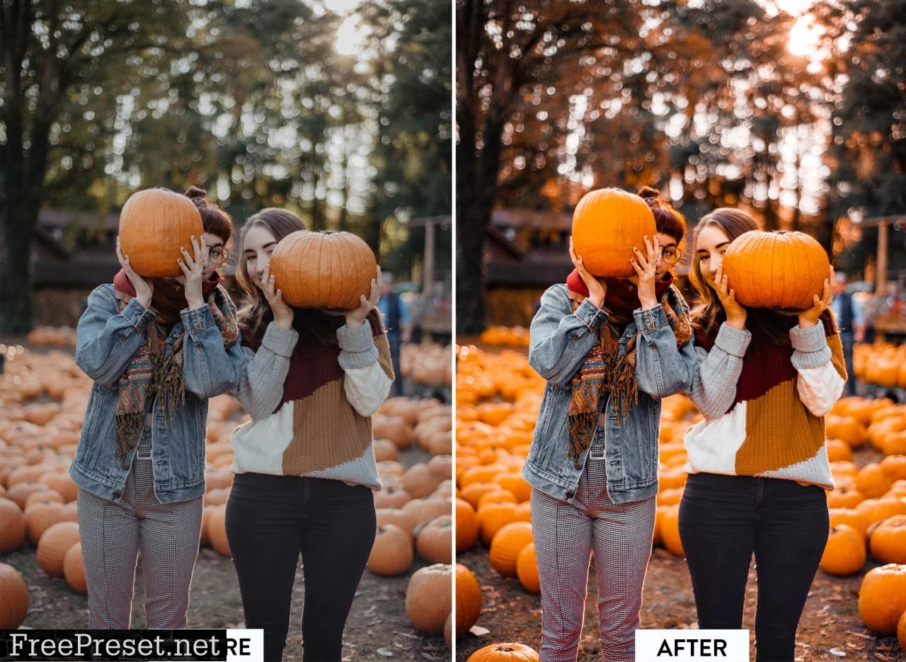 10 PUMPKIN PIE Lightroom Preset 5568485