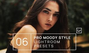 6 Pro Moody Style Lightroom Presets + Mobile