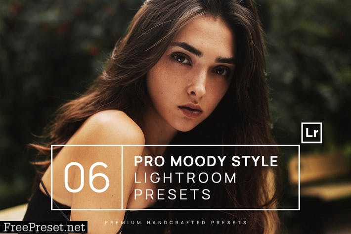 6 Pro Moody Style Lightroom Presets + Mobile