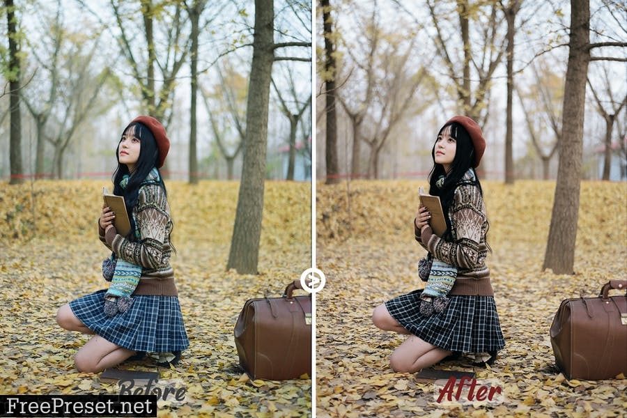 Autumn Colors LUTs Pack#2 U3ZWRAQ