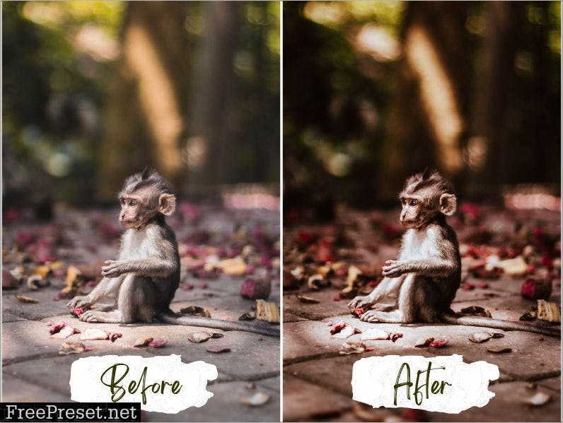 Bali Lightroom Presets