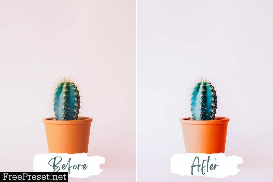 Better White Lightroom Presets