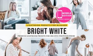 Bright White Lightroom Presets