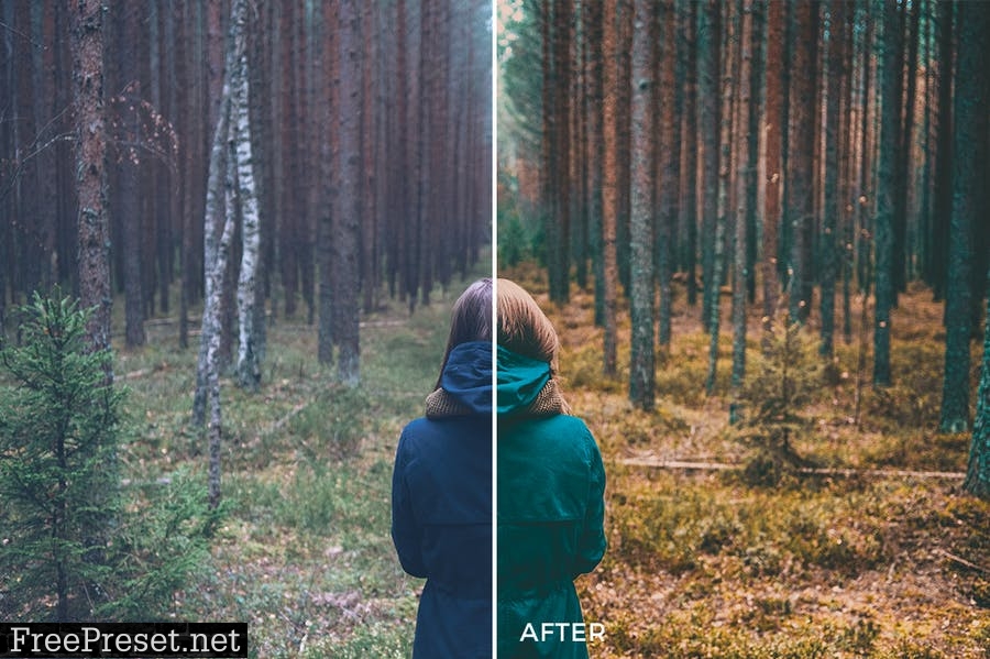 Cinematic Lightroom Presets Collection