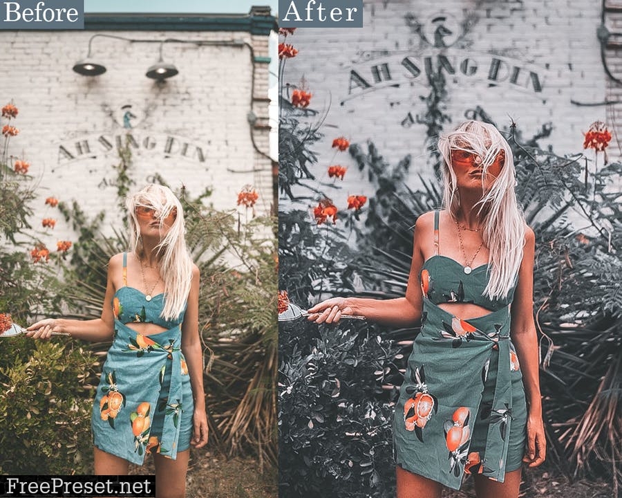 Film Filter Lightroom Presets