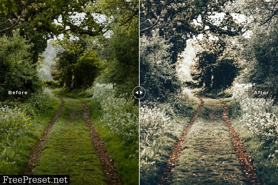 Hampshire Mobile & Desktop Lightroom Presets