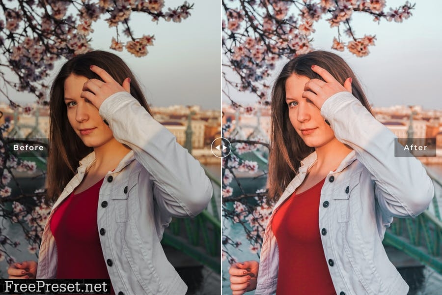 Hungary Mobile & Desktop Lightroom Presets