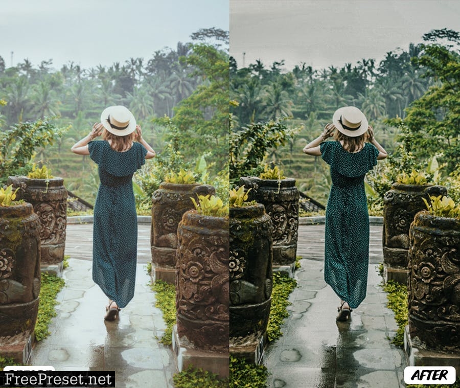 Jungle Lightroom Presets