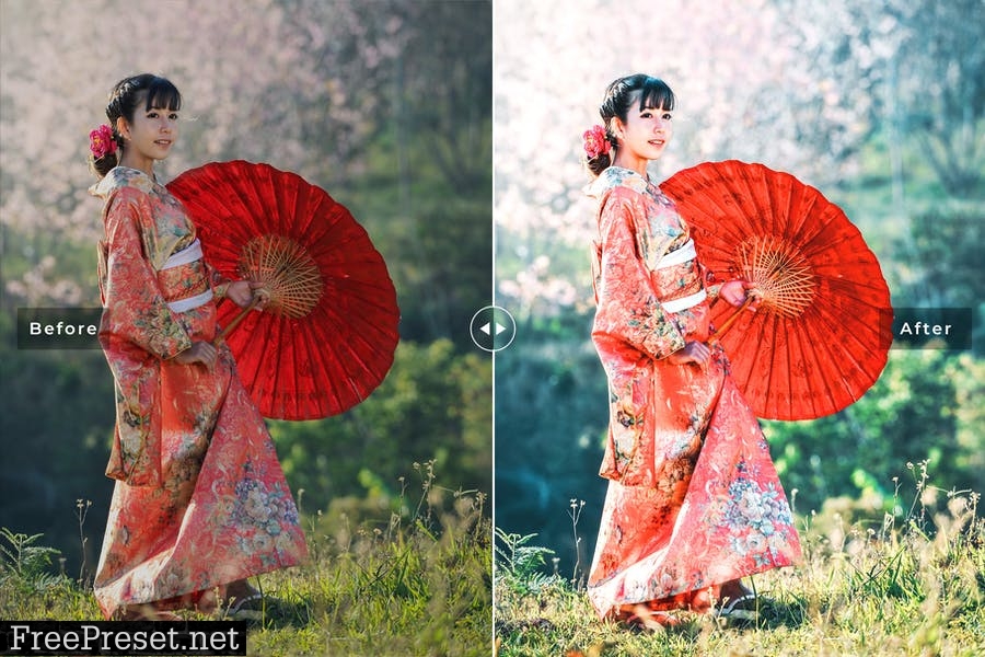 Kyoto Mobile & Desktop Lightroom Presets