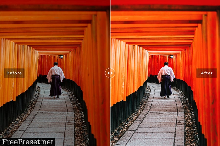 Kyoto Mobile & Desktop Lightroom Presets