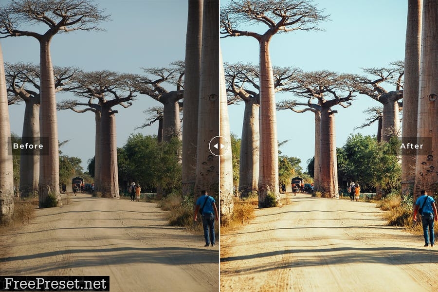 Madagascar Mobile & Desktop Lightroom Presets