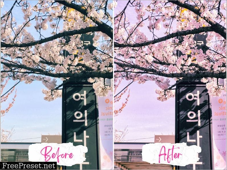 Seoul Lightroom Presets