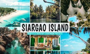 Siargao Island Mobile & Desktop Lightroom Presets