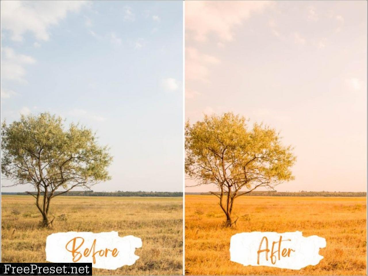 Sweet Orange Lightroom Presets 5555363