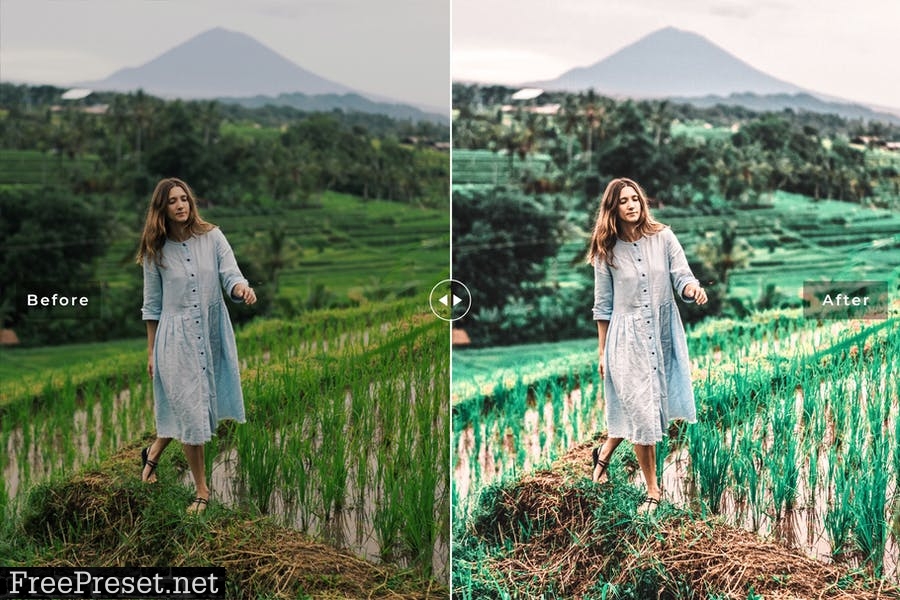 Ubud Mobile & Desktop Lightroom Presets