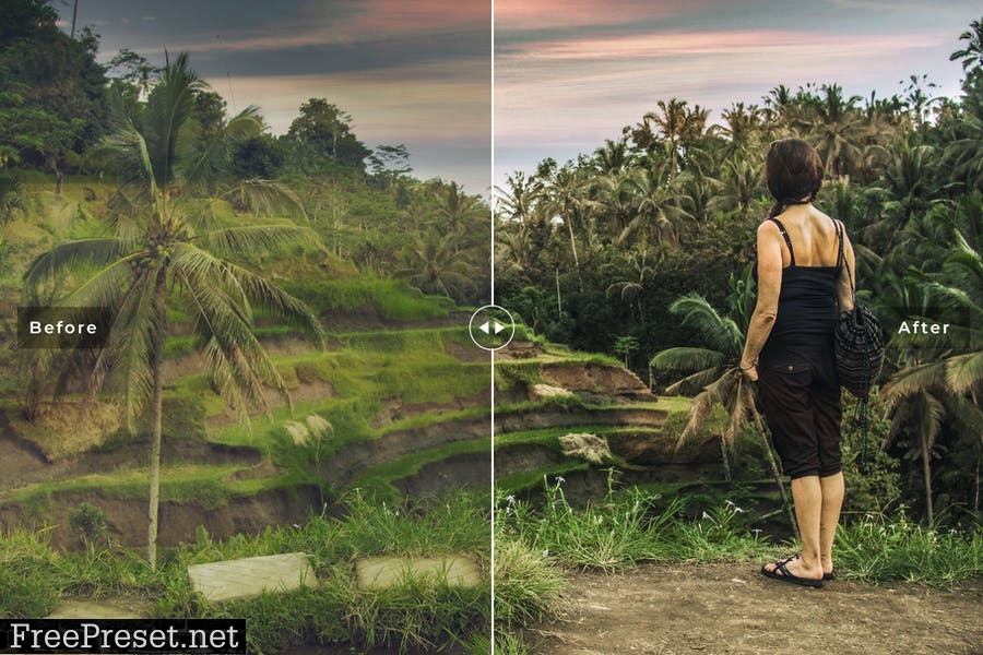 Ubud Mobile & Desktop Lightroom Presets