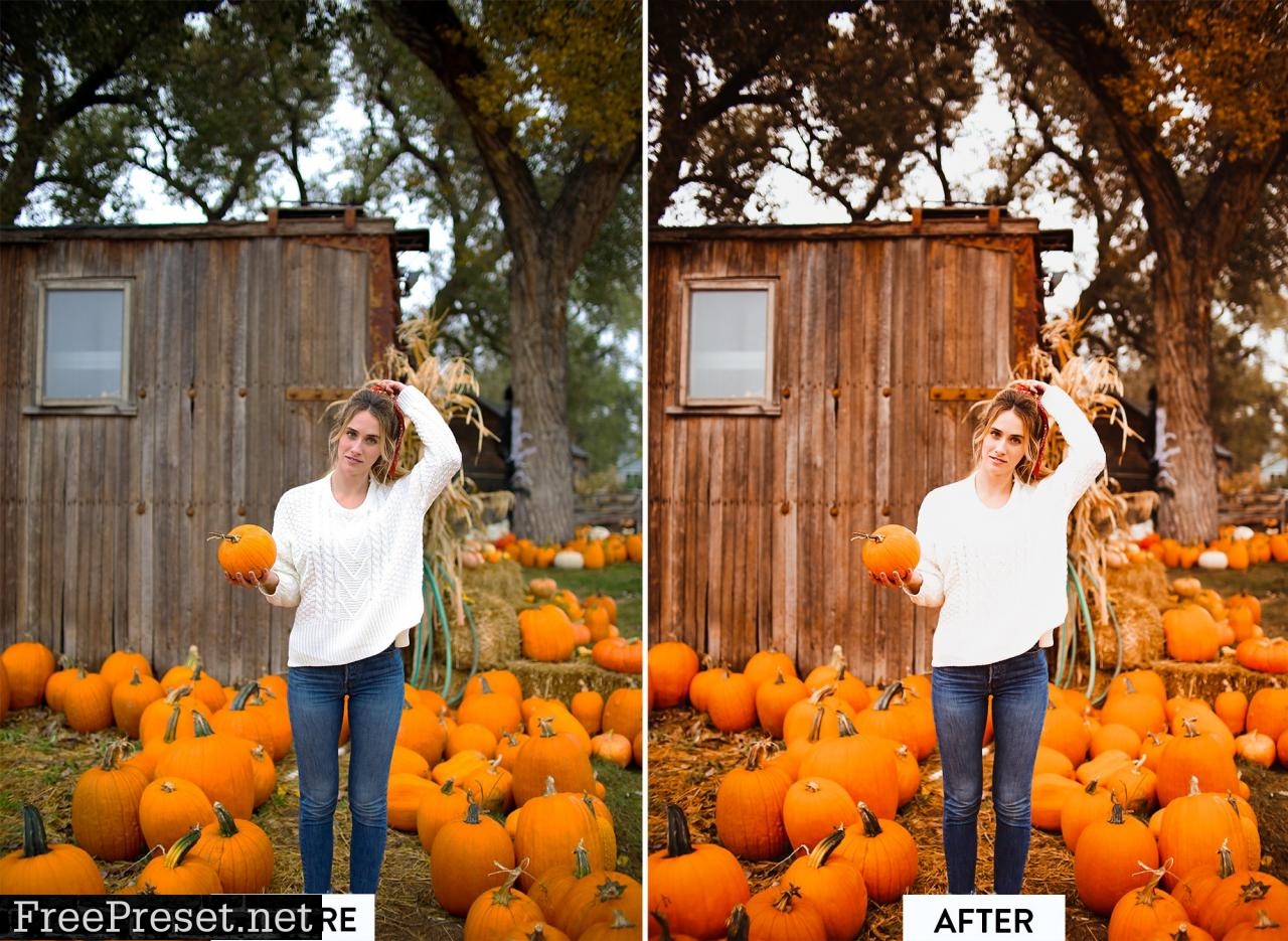 10 AUTUMN VIBES Lightroom Preset 5473333