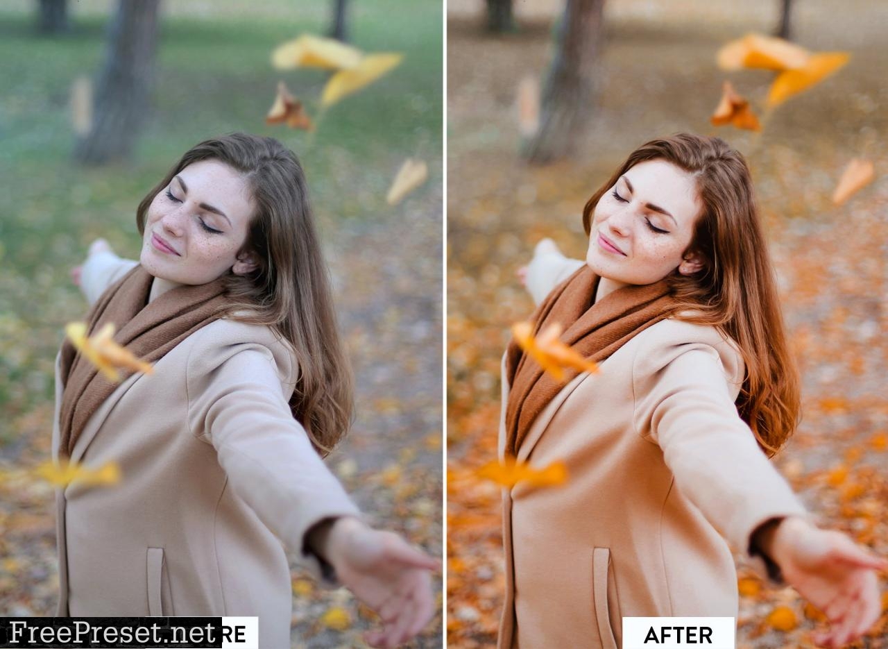 10 AUTUMN VIBES Lightroom Preset 5473333