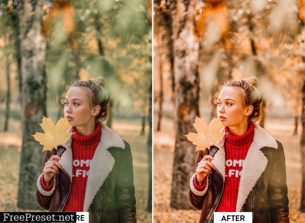 10 AUTUMN VIBES Lightroom Preset 5473333