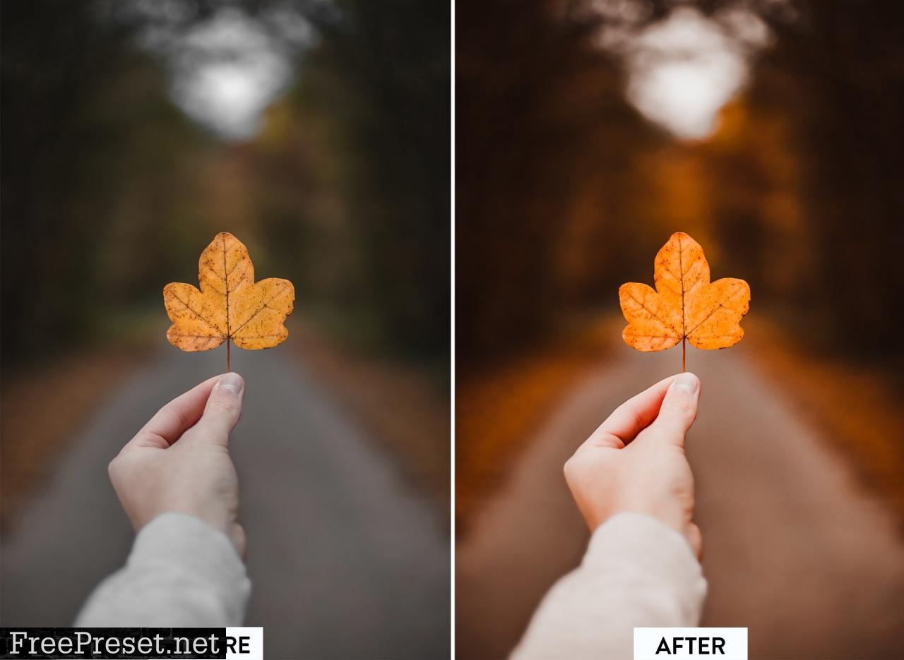 10 AUTUMN VIBES Lightroom Preset 5473333