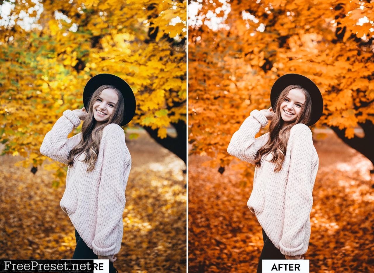 10 MOODY FALL Lightroom Preset 5532981